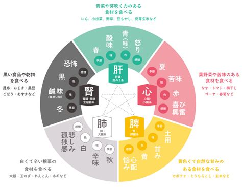 五行 体の部位|五行説の概要と人体との関係 